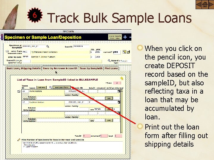 6 Track Bulk Sample Loans When you click on the pencil icon, you create