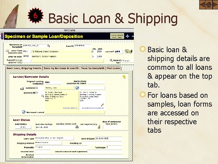 6 Basic Loan & Shipping Basic loan & shipping details are common to all