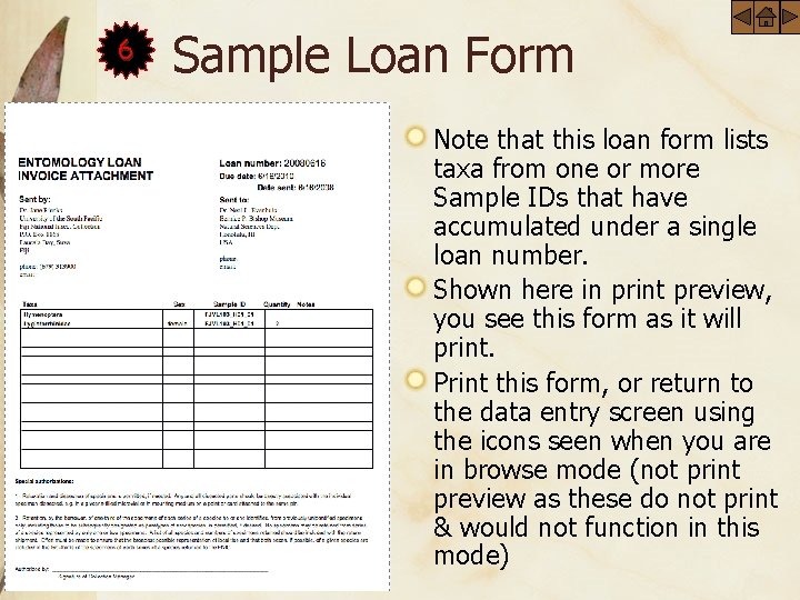 6 Sample Loan Form Note that this loan form lists taxa from one or