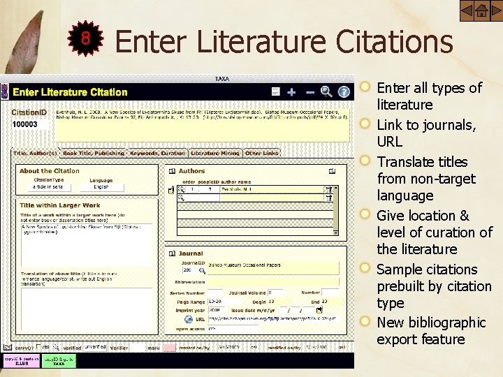 8 Enter Literature Citations Enter all types of literature Link to journals, URL Translate