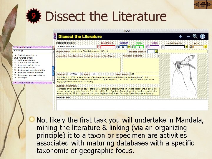9 Dissect the Literature Not likely the first task you will undertake in Mandala,