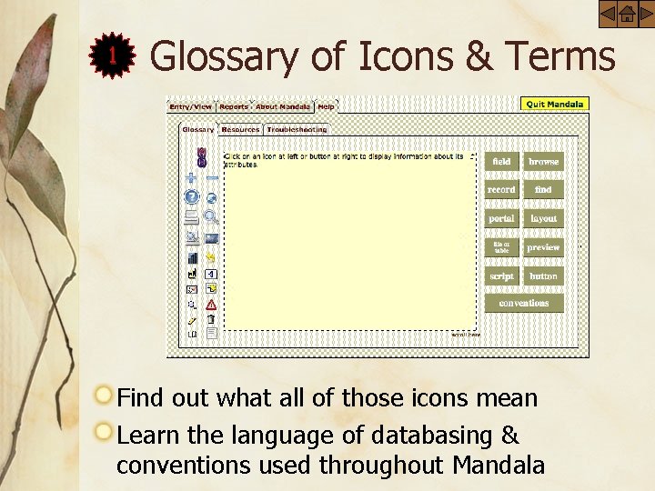 1 Glossary of Icons & Terms Find out what all of those icons mean