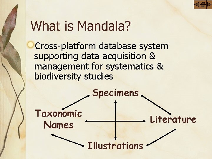 What is Mandala? Cross-platform database system supporting data acquisition & management for systematics &