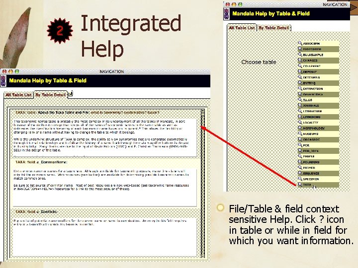 2 Integrated Help File/Table & field context sensitive Help. Click ? icon in table