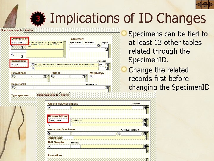 3 Implications of ID Changes Specimens can be tied to at least 13 other