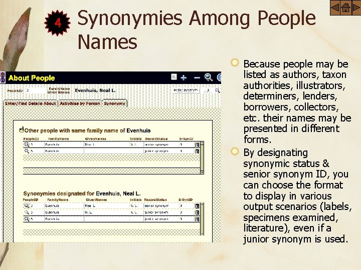 4 Synonymies Among People Names Because people may be listed as authors, taxon authorities,