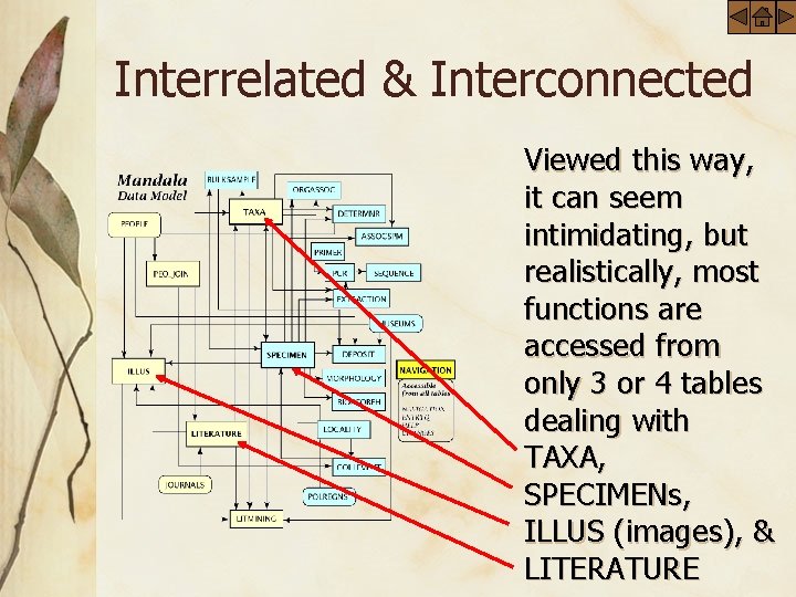 Interrelated & Interconnected Viewed this way, it can seem intimidating, but realistically, most functions