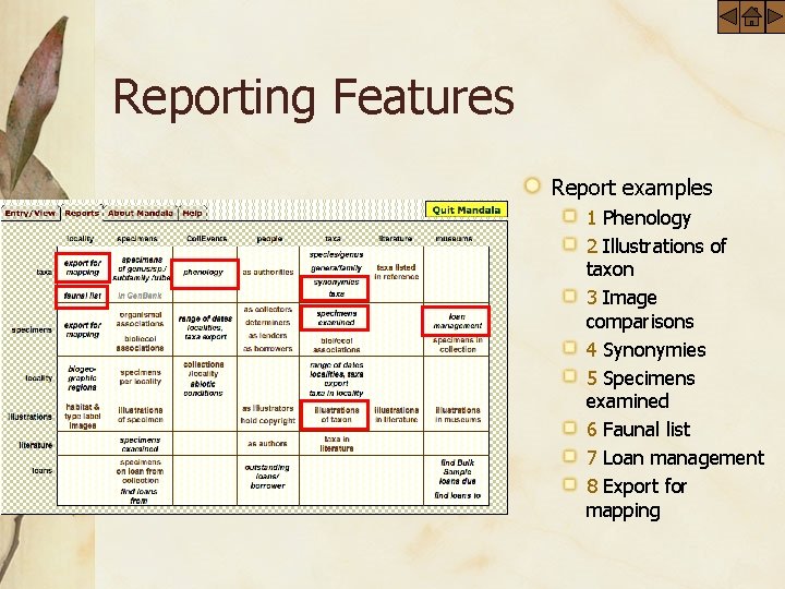 Reporting Features Report examples 1 Phenology 2 Illustrations of taxon 3 Image comparisons 4