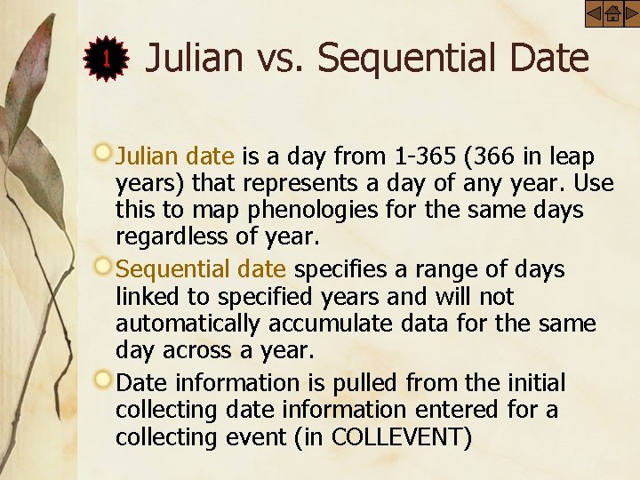 1 Julian vs. Sequential Date Julian date is a day from 1 -365 (366