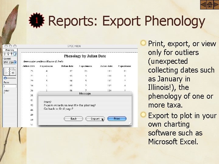 1 Reports: Export Phenology Print, export, or view only for outliers (unexpected collecting dates