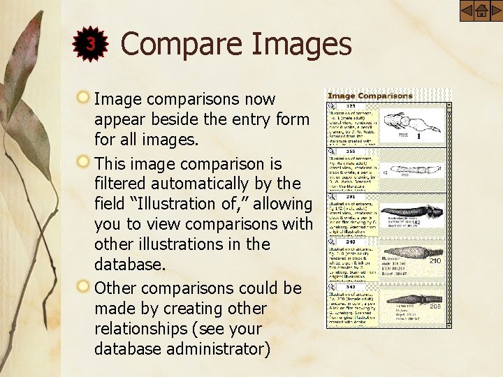 3 Compare Images Image comparisons now appear beside the entry form for all images.