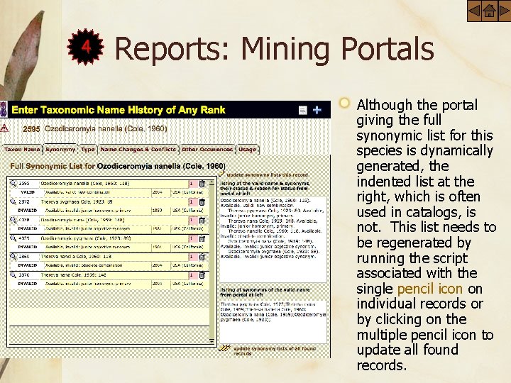 4 Reports: Mining Portals Although the portal giving the full synonymic list for this