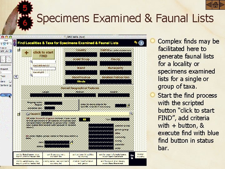 5 6 Specimens Examined & Faunal Lists Complex finds may be facilitated here to