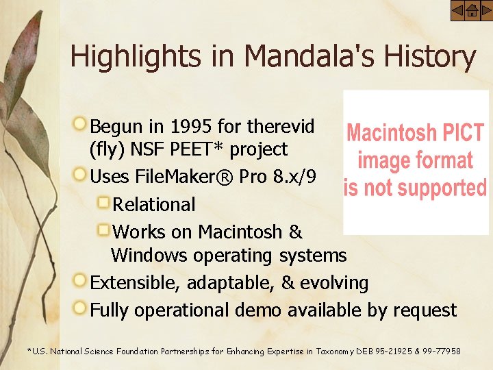Highlights in Mandala's History Begun in 1995 for therevid (fly) NSF PEET* project Uses