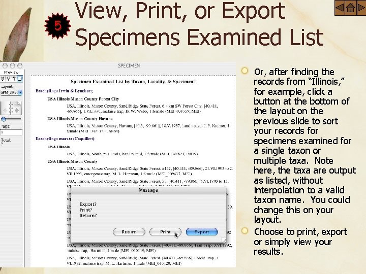 5 View, Print, or Export Specimens Examined List Or, after finding the records from