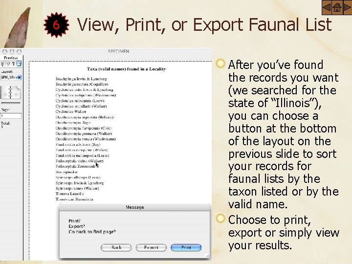 6 View, Print, or Export Faunal List After you’ve found the records you want