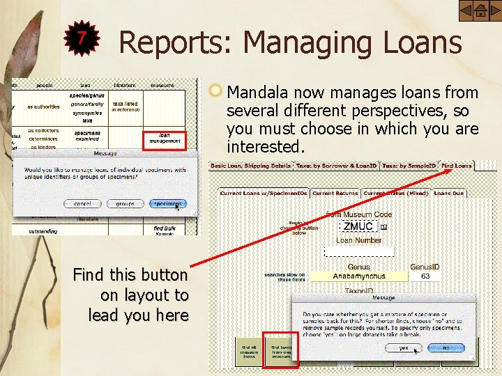 7 Reports: Managing Loans Mandala now manages loans from several different perspectives, so you