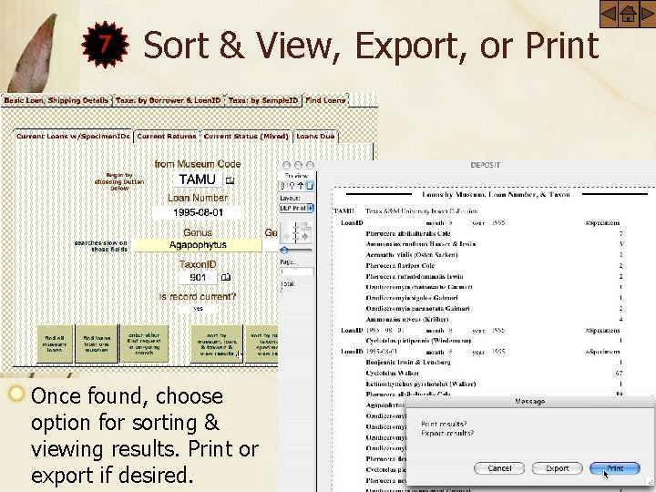 7 Sort & View, Export, or Print Once found, choose option for sorting &