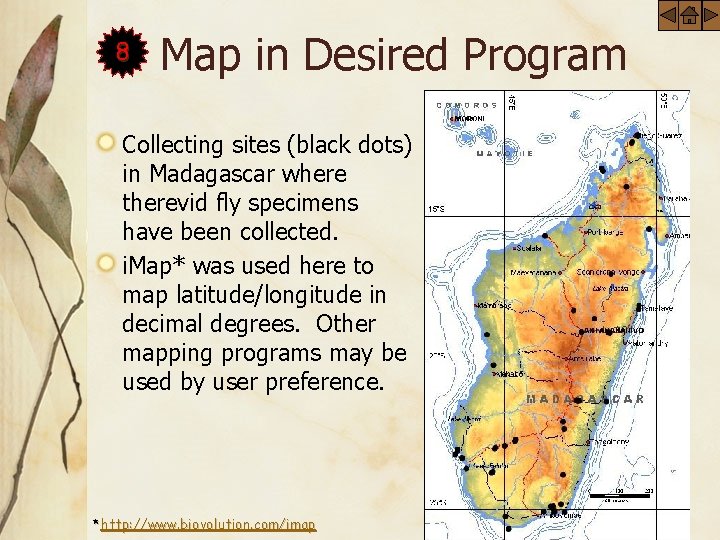 8 Map in Desired Program Collecting sites (black dots) in Madagascar where therevid fly