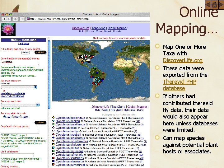 Online Mapping… Map One or More Taxa with Discover. Life. org These data were