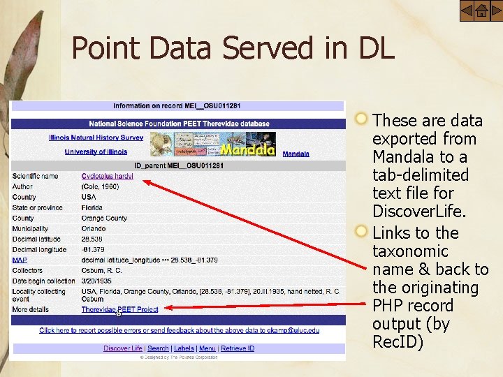 Point Data Served in DL These are data exported from Mandala to a tab-delimited