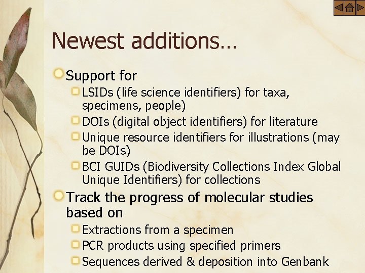 Newest additions… Support for LSIDs (life science identifiers) for taxa, specimens, people) DOIs (digital