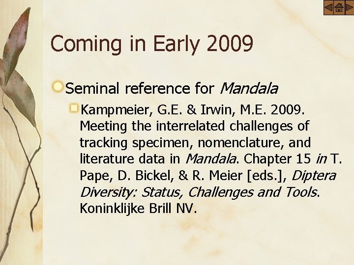 Coming in Early 2009 Seminal reference for Mandala Kampmeier, G. E. & Irwin, M.