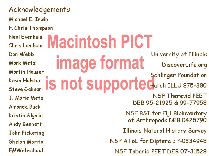 Acknowledgements Michael E. Irwin F. Chris Thompson Neal Evenhuis Chris Lambkin Don Webb Mark