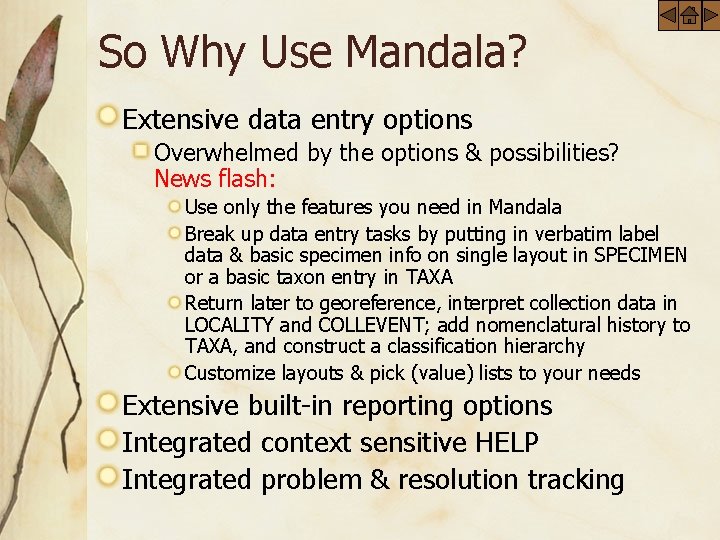 So Why Use Mandala? Extensive data entry options Overwhelmed by the options & possibilities?