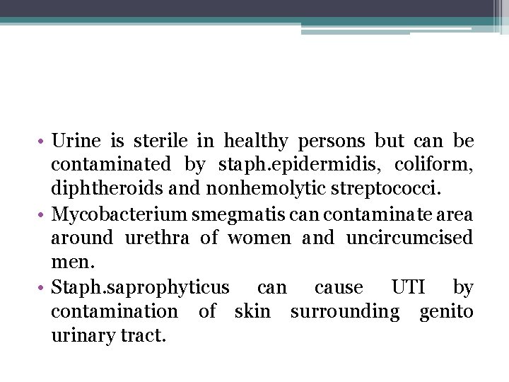  • Urine is sterile in healthy persons but can be contaminated by staph.