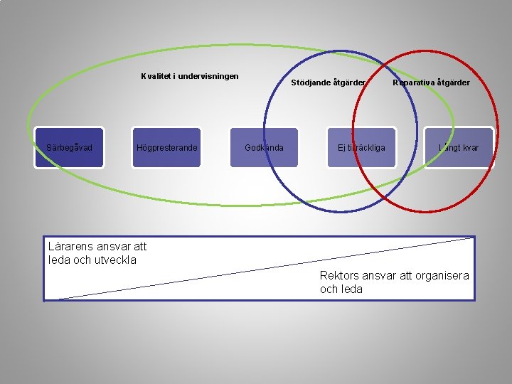 Kvalitet i undervisningen Särbegåvad Högpresterande Stödjande åtgärder Godkända Ej tillräckliga Reparativa åtgärder Långt kvar