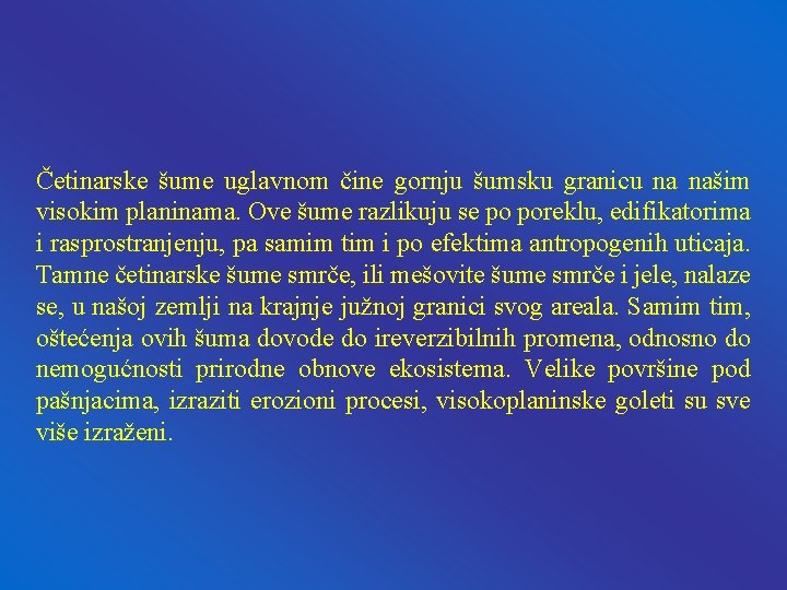 Četinarske šume uglavnom čine gornju šumsku granicu na našim visokim planinama. Ove šume razlikuju Četinarske šume uglavnom čine gornju šumsku granicu na našim visokim planinama. Ove šume razlikuju
