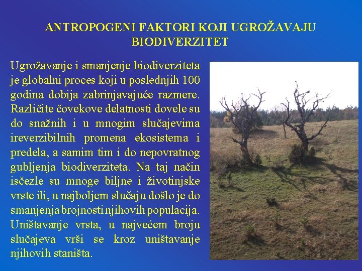 ANTROPOGENI FAKTORI KOJI UGROŽAVAJU BIODIVERZITET Ugrožavanje i smanjenje biodiverziteta je globalni proces koji u ANTROPOGENI FAKTORI KOJI UGROŽAVAJU BIODIVERZITET Ugrožavanje i smanjenje biodiverziteta je globalni proces koji u
