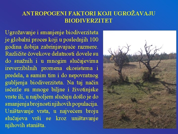 ANTROPOGENI FAKTORI KOJI UGROŽAVAJU BIODIVERZITET Ugrožavanje i smanjenje biodiverziteta je globalni proces koji u