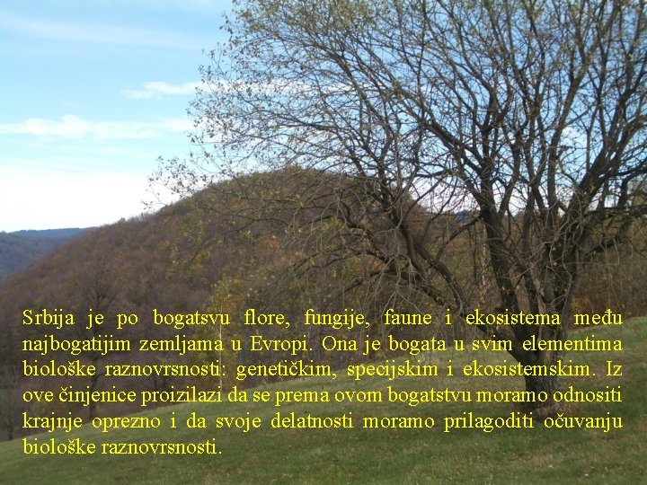 Srbija je po bogatsvu flore, fungije, faune i ekosistema među najbogatijim zemljama u Evropi.