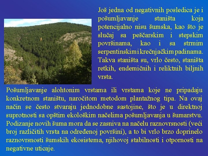 Još jedna od negativnih posledica je i pošumljavanje staništa koja potencijalno nisu šumska, kao