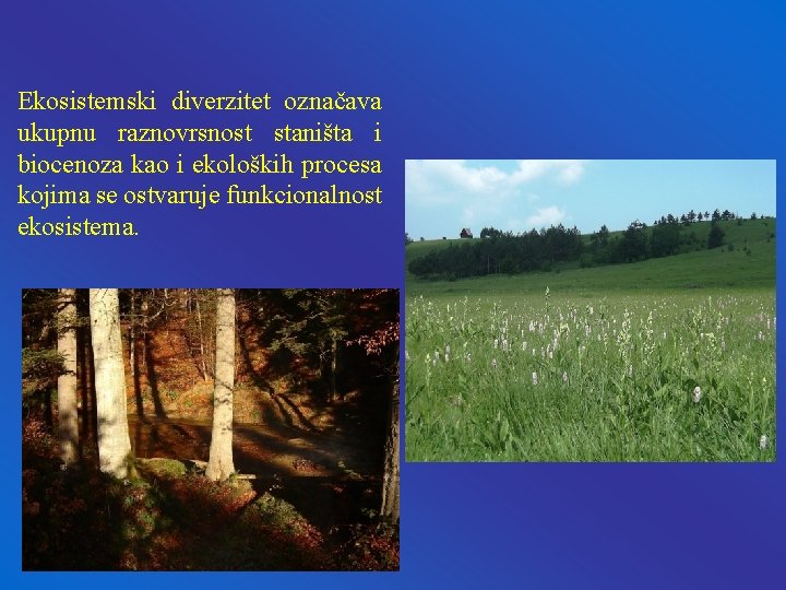 Ekosistemski diverzitet označava ukupnu raznovrsnost staništa i biocenoza kao i ekoloških procesa kojima se Ekosistemski diverzitet označava ukupnu raznovrsnost staništa i biocenoza kao i ekoloških procesa kojima se