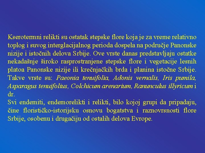 Kserotermni relikti su ostatak stepske flore koja je za vreme relativno toplog i suvog Kserotermni relikti su ostatak stepske flore koja je za vreme relativno toplog i suvog