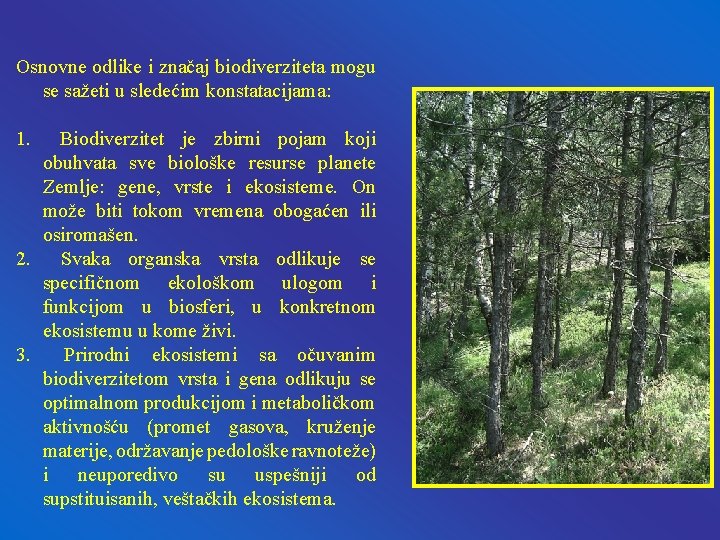 Osnovne odlike i značaj biodiverziteta mogu se sažeti u sledećim konstatacijama: 1. Biodiverzitet je