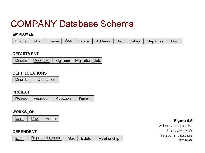 COMPANY Database Schema 