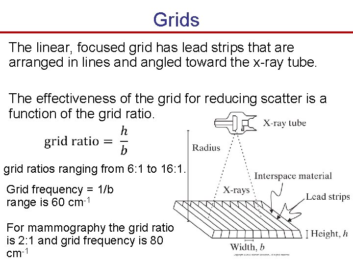 Grids The linear, focused grid has lead strips that are arranged in lines and Grids The linear, focused grid has lead strips that are arranged in lines and