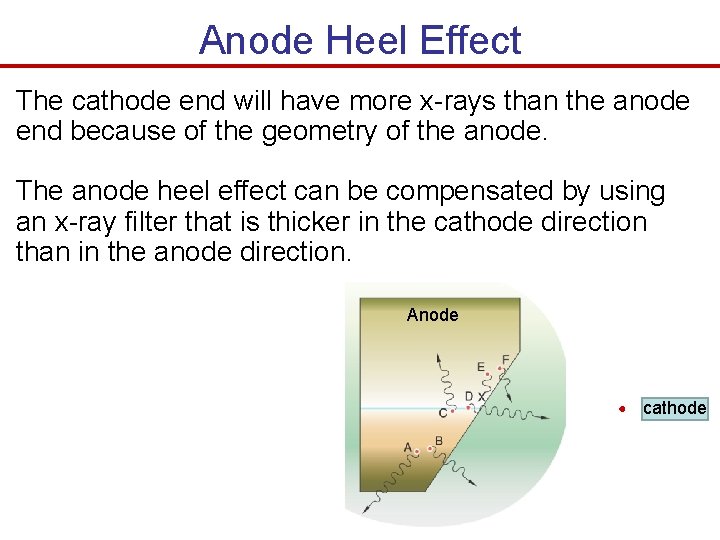 Anode Heel Effect The cathode end will have more x-rays than the anode end Anode Heel Effect The cathode end will have more x-rays than the anode end