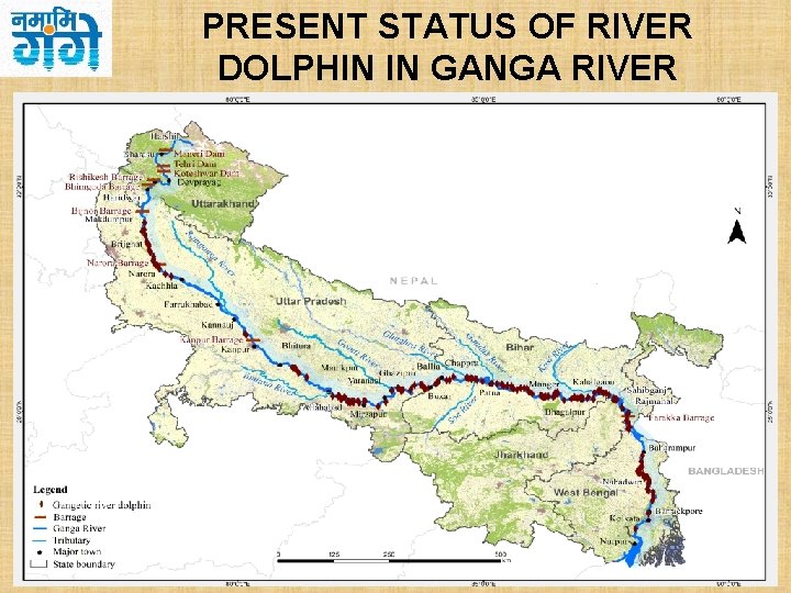PRESENT STATUS OF RIVER DOLPHIN IN GANGA RIVER 