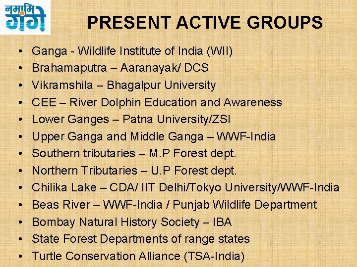 PRESENT ACTIVE GROUPS • • • • Ganga - Wildlife Institute of India (WII)