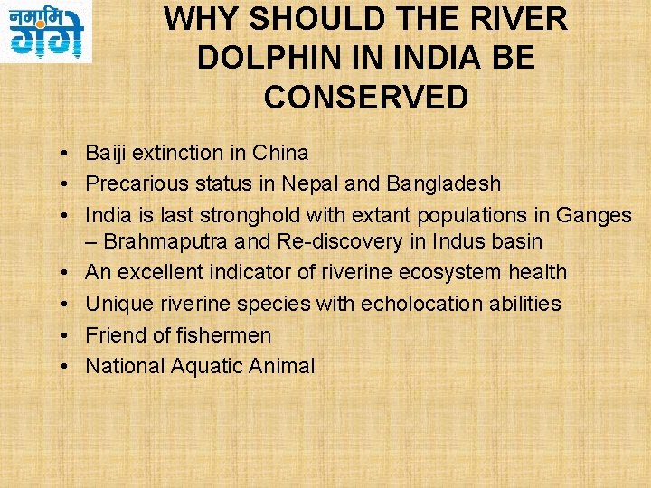 WHY SHOULD THE RIVER DOLPHIN IN INDIA BE CONSERVED • Baiji extinction in China