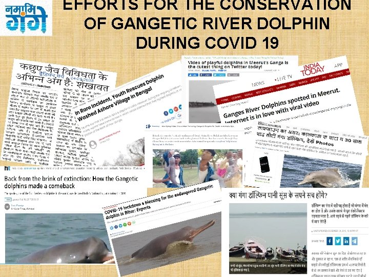 EFFORTS FOR THE CONSERVATION OF GANGETIC RIVER DOLPHIN DURING COVID 19 