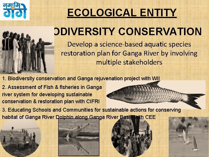 ECOLOGICAL ENTITY BIODIVERSITY CONSERVATION Develop a science-based aquatic species restoration plan for Ganga River
