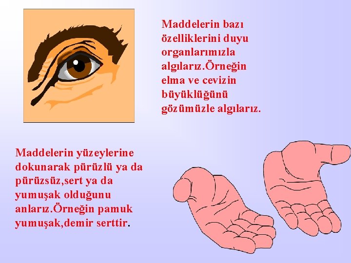 Maddelerin bazı özelliklerini duyu organlarımızla algılarız. Örneğin elma ve cevizin büyüklüğünü gözümüzle algılarız. Maddelerin