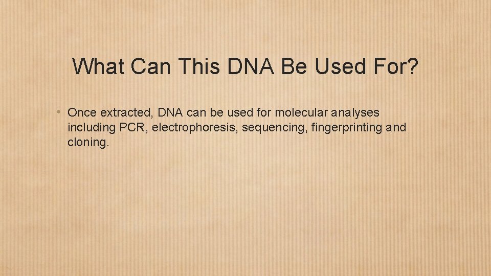 What Can This DNA Be Used For? • Once extracted, DNA can be used
