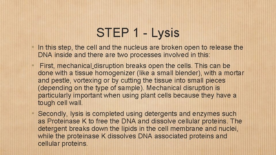 STEP 1 - Lysis • In this step, the cell and the nucleus are